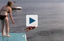 Corgi jumping from dock