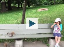 Girl and squirrel on a bench