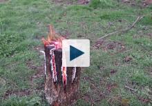 Cut log burning