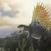Illustration of Dimetrodon